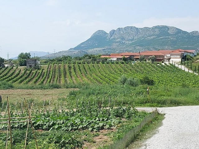 Mrizi i Zanave - Restorant Agroturizëm